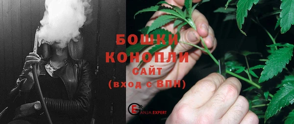 Альфа ПВП Аркадак