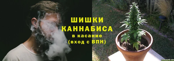 Альфа ПВП Аркадак