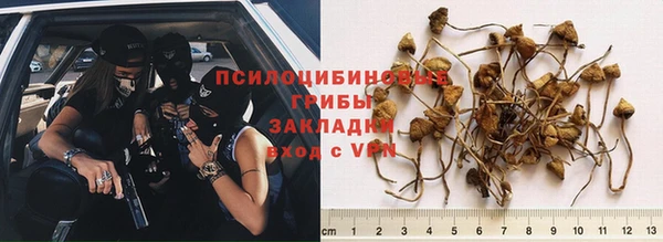 Альфа ПВП Аркадак