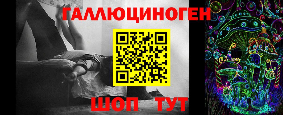 Псилоцибиновые грибы Cubensis Новодвинск
