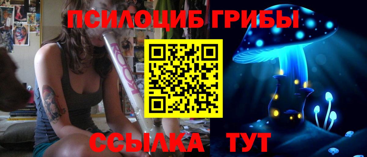 Новодвинск  Галлюциногенные грибы Magic Shrooms  Вход с VPN 